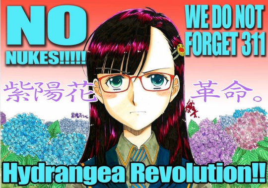 Hydrangéa révolution (Clic)