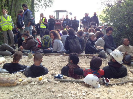 ARRÊT IMMÉDIAT de destruction de la forêt