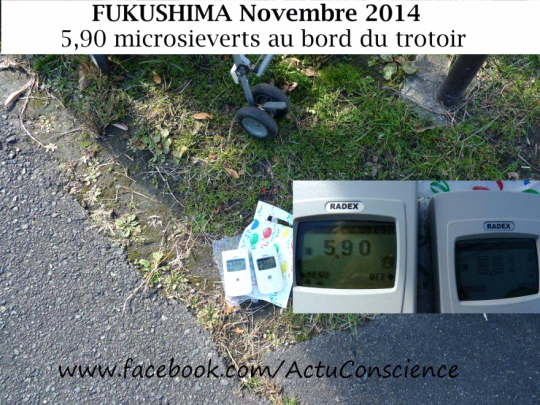 Fukushima-Diary.com (clic)