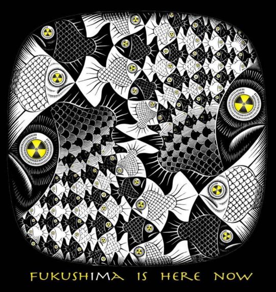 L'ACROnique de Fukushima (clic)