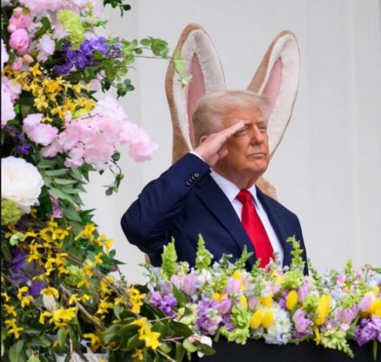 Developpez.com (clic)